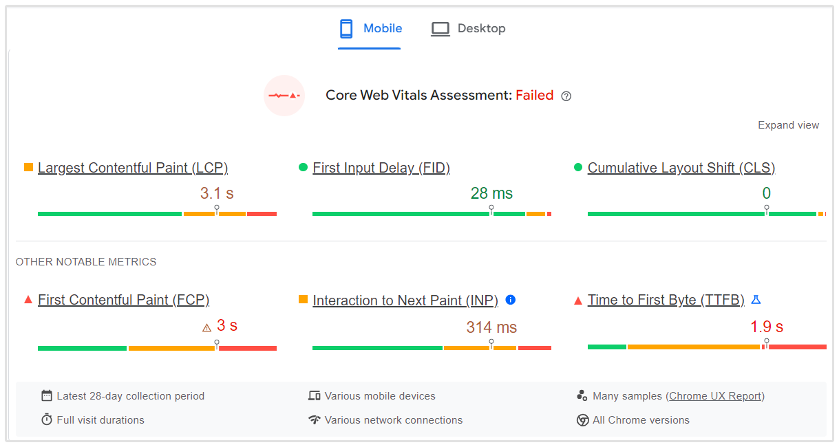 Esempio di Google Page Speed Insights